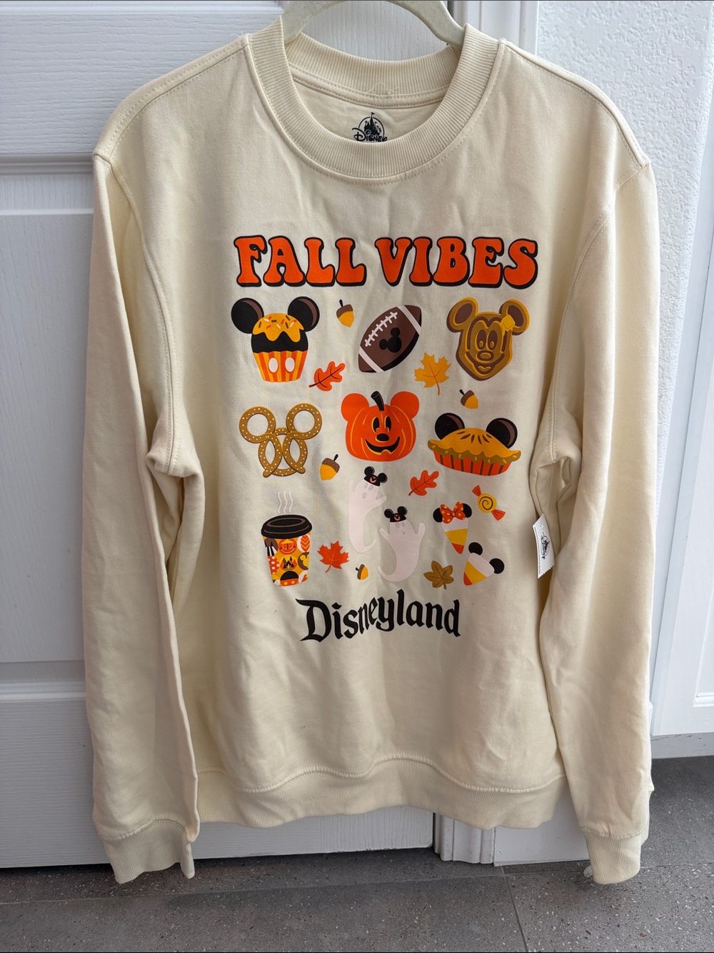 Disneyland Fall Vibes Sweatshirt